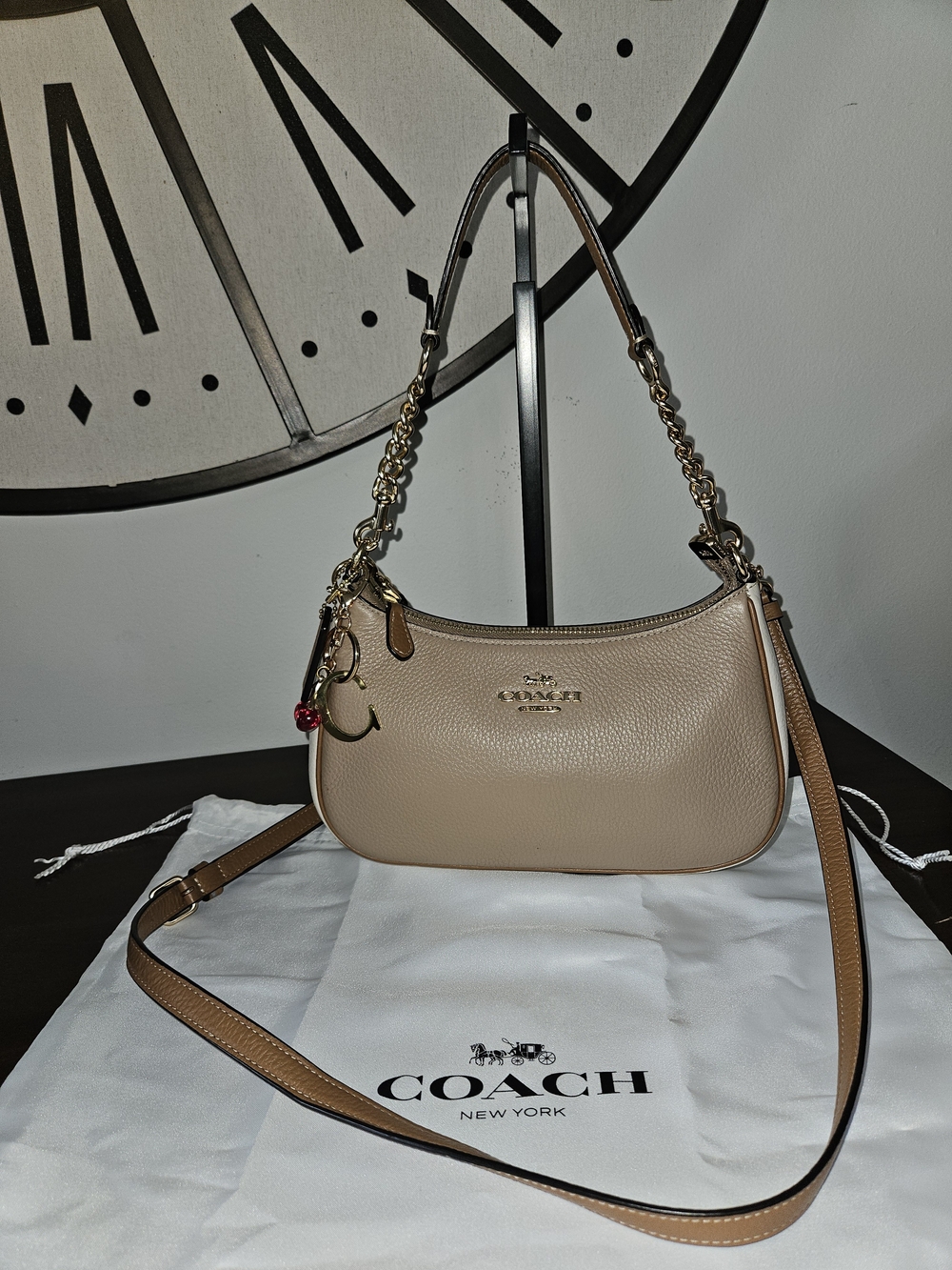 Coach Teri Shoulder Bag in Light Taupe